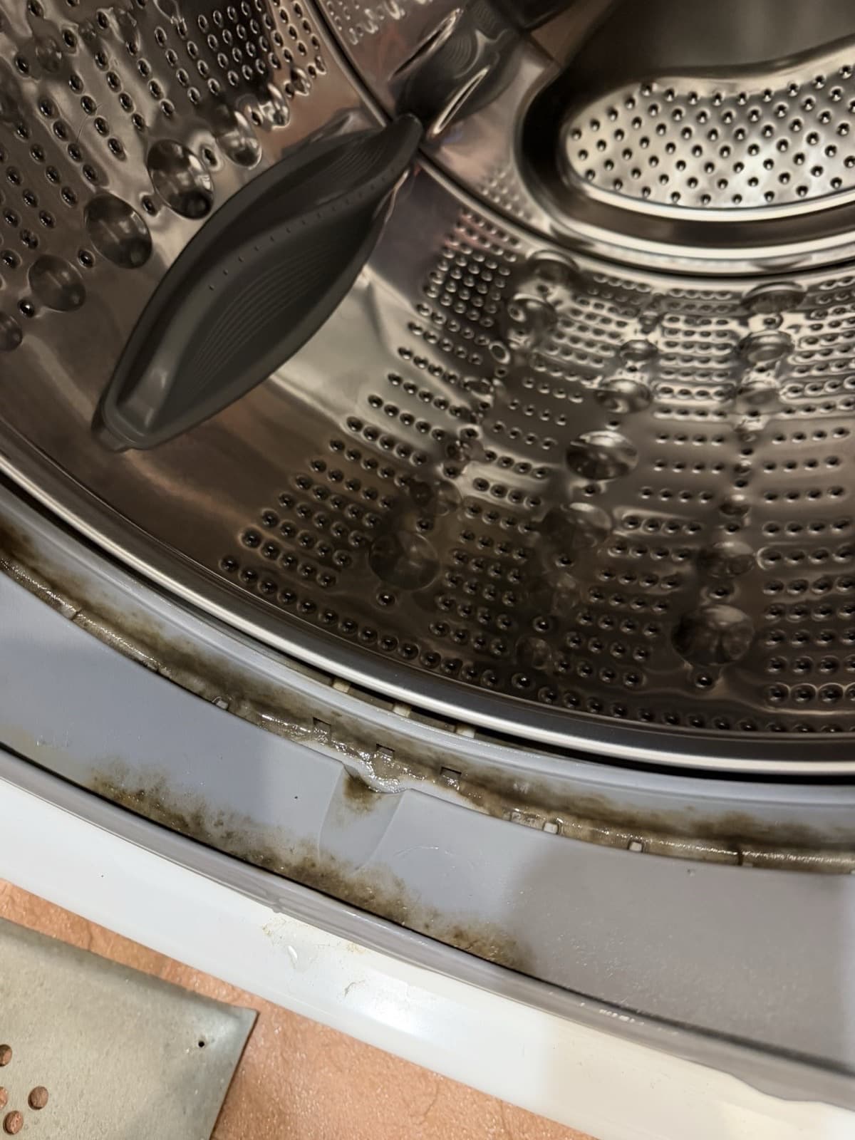 Customer photo before cleaning — a heavy ring of black and brown mold along the door gasket trough of a front-load washer